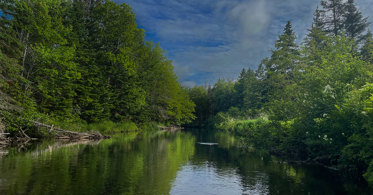Tenkara Fly Fishing — Fly Fish PEI – Fly Fish PEI